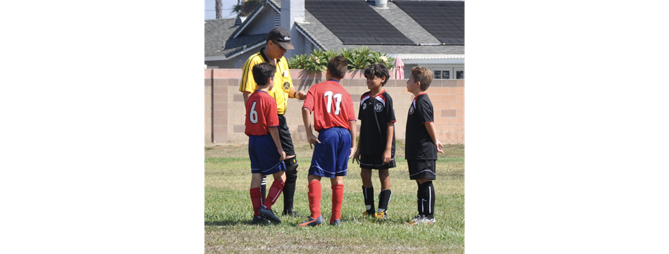 Player Development