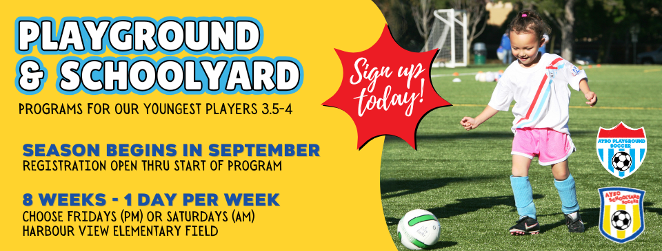 Playground & Schoolyard