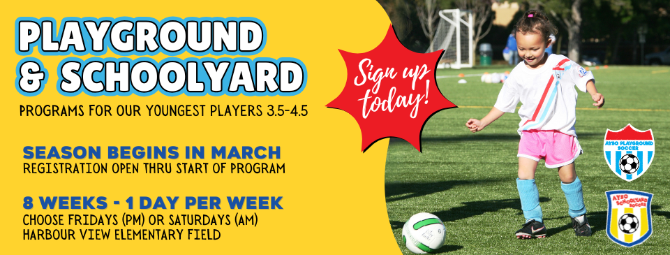 Playground & Schoolyard